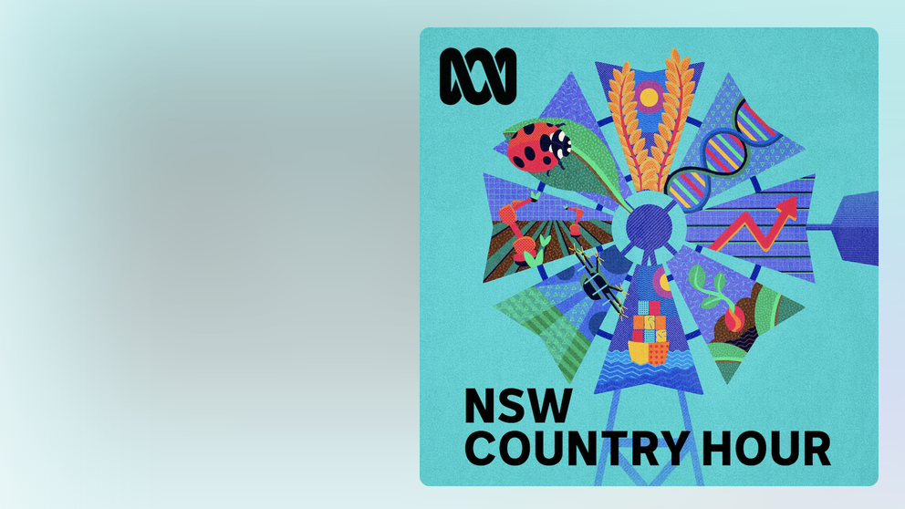 NSW Country Hour – ABC National